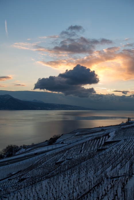 Fin de journée dans le Lavaux - 029